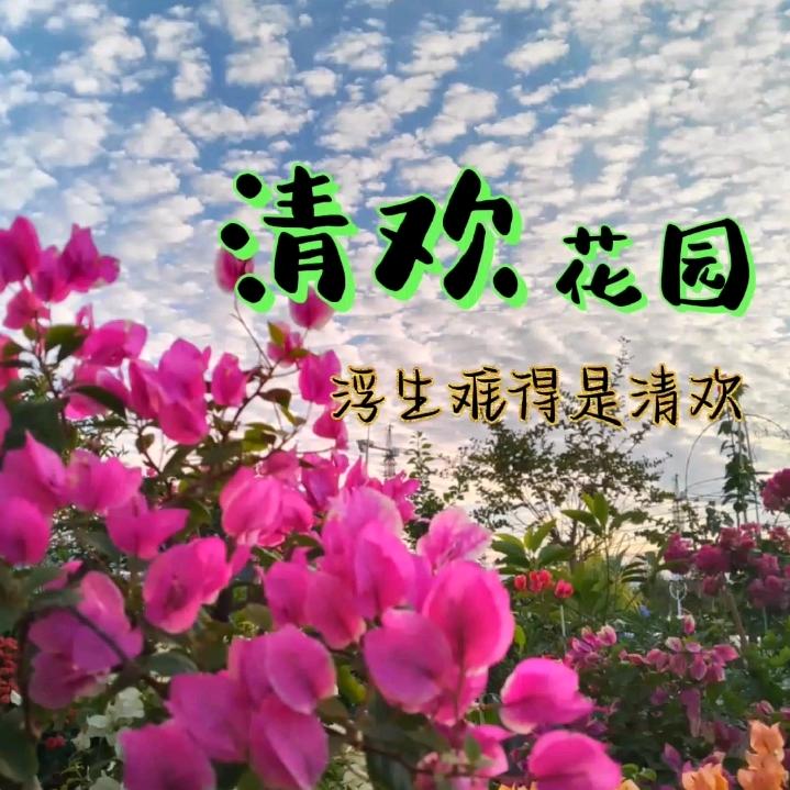 清欢花园