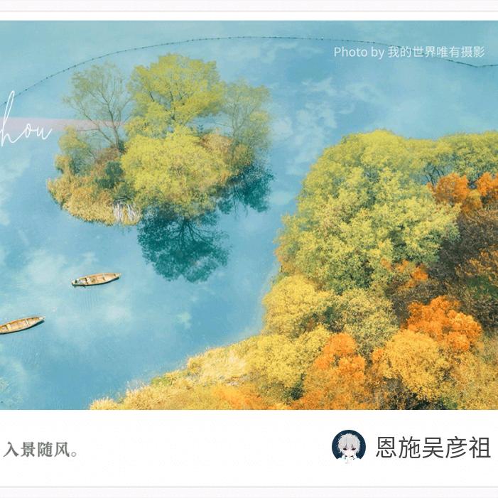 杨阳球球