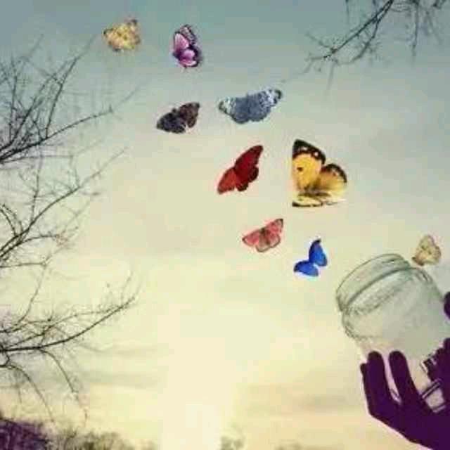 诚心舞动