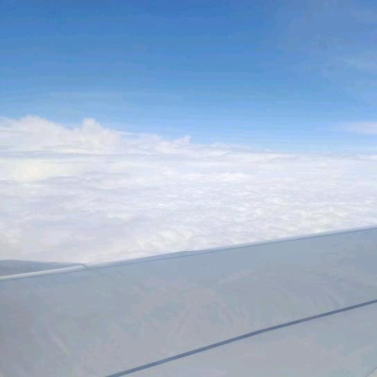 青山不老我不闲