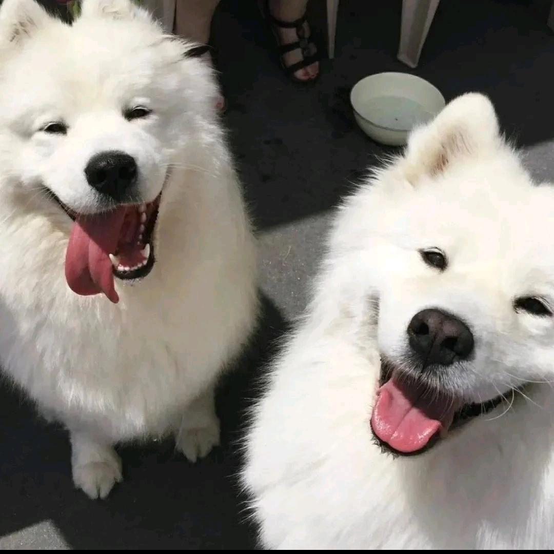 LxrrR