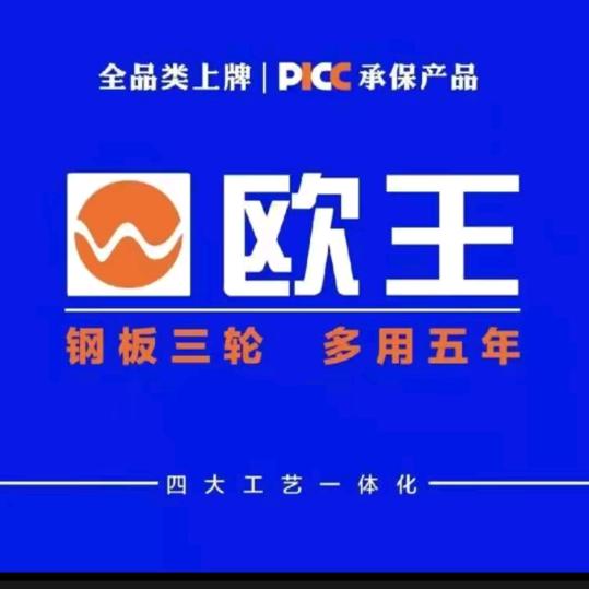 欧王电动三轮批发店