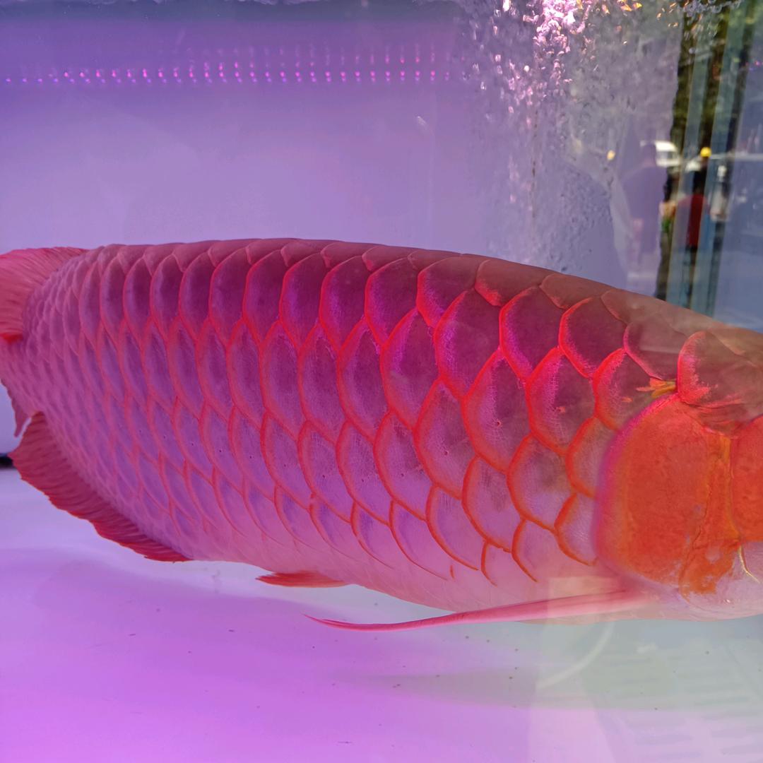 易财水族馆