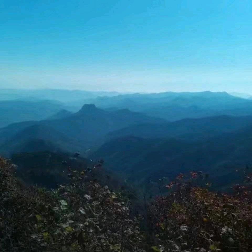 自由自在