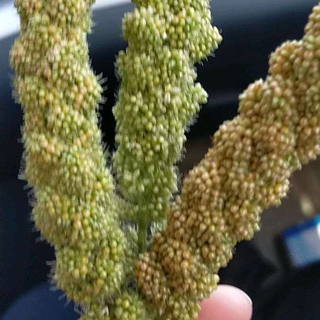 健康是福
