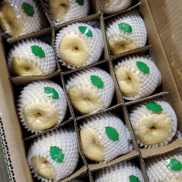 汇龙源果业