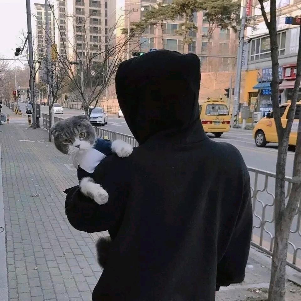 悠悠我心