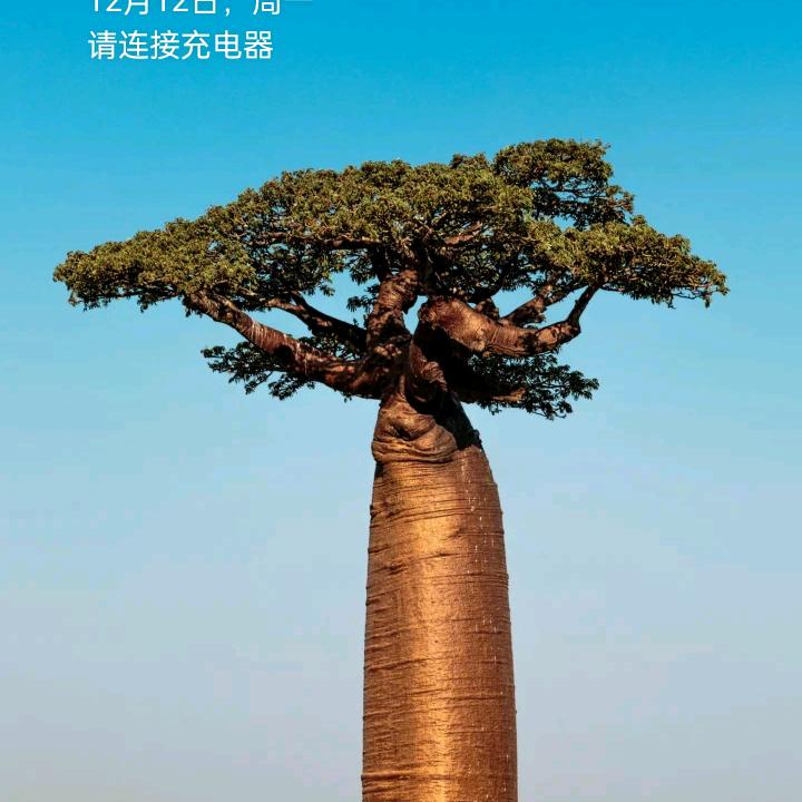 安徽省临泉县陶老乡80后老阿姨