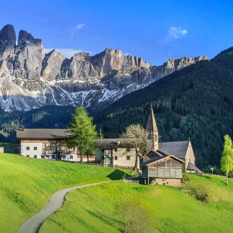 常教头（福井台尼）