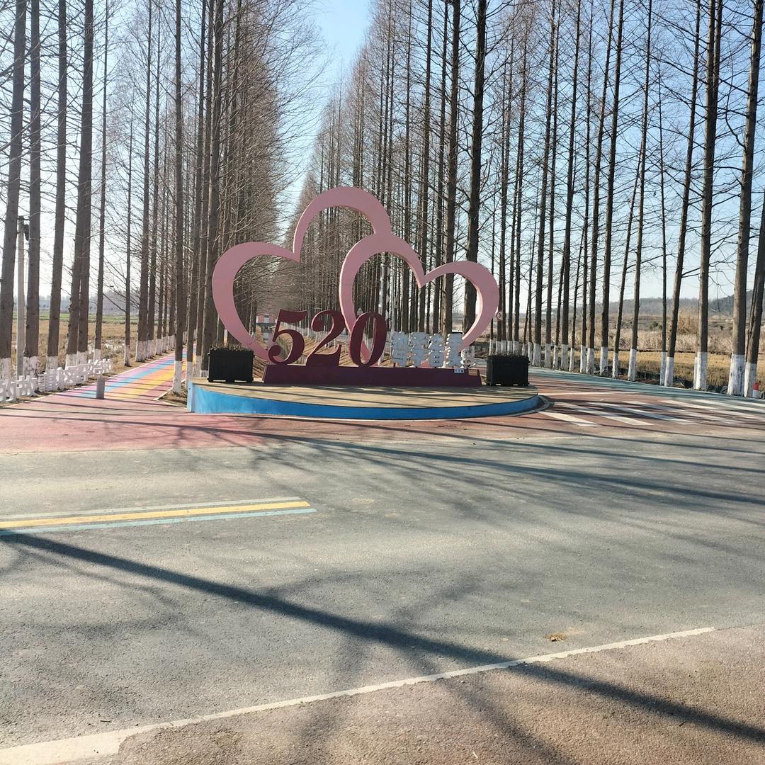 没心没肺的活活着不累