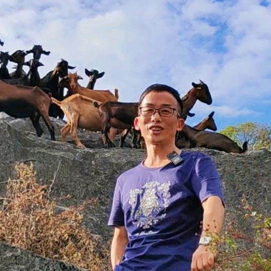 辉哥羊肉小龙虾