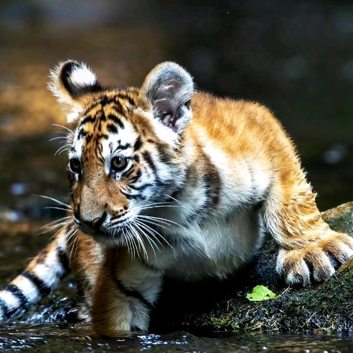 开心就好💦💦