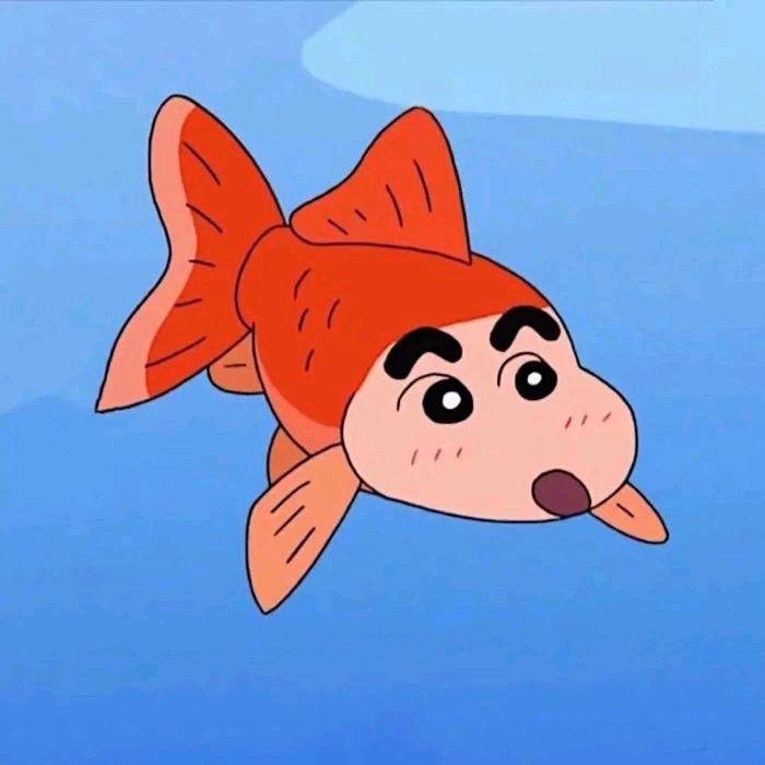 娱乐小鱼