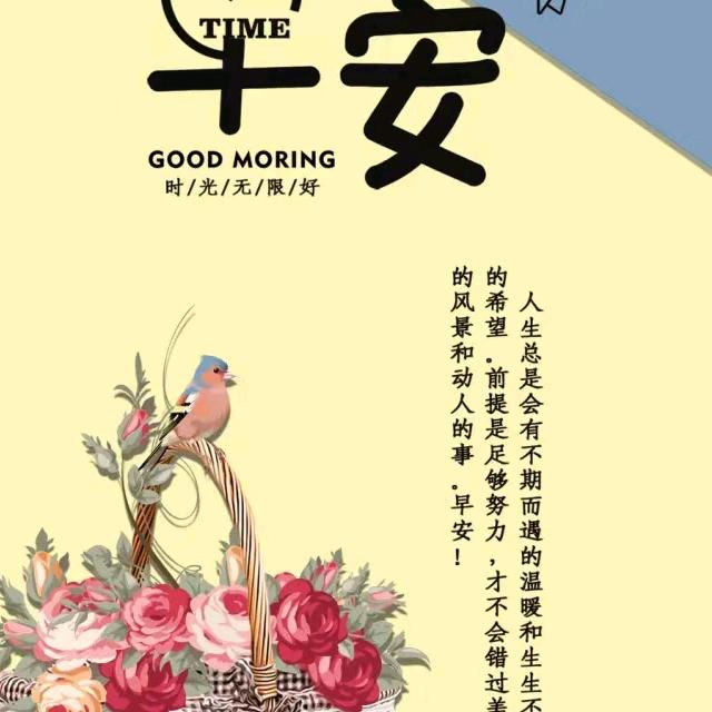 我是一个淑女