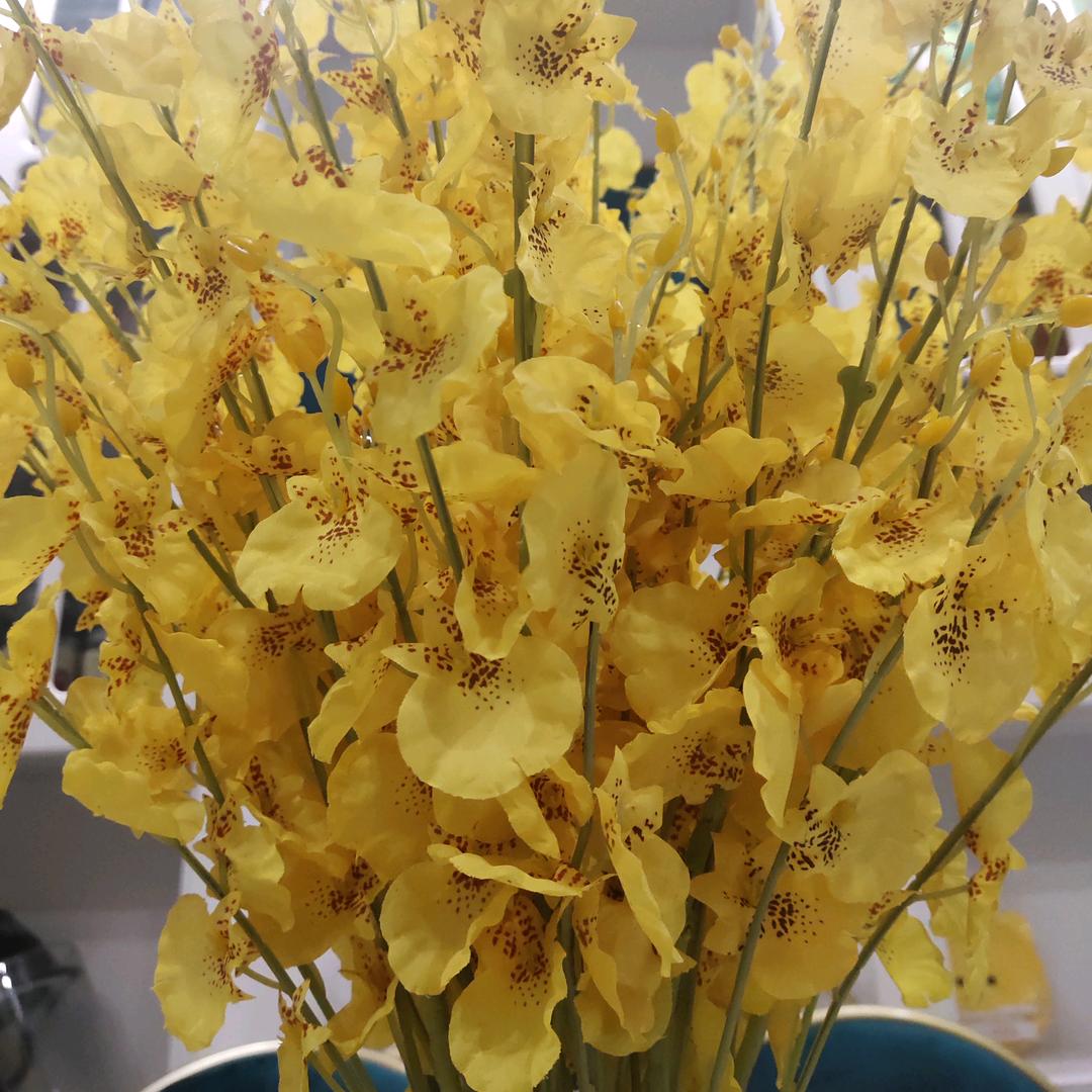 一支花
