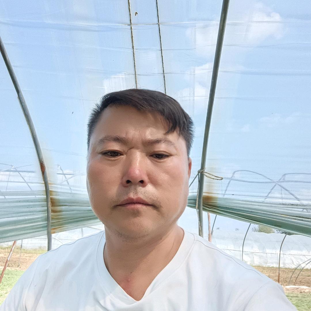 生菜大王
