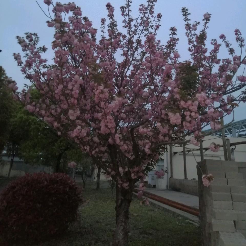用户光明i磊落