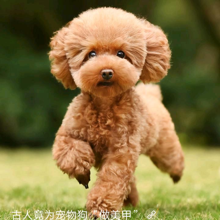 草莓味的，旺仔