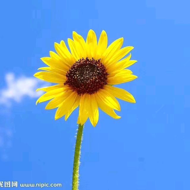 xiaojiahaowu77