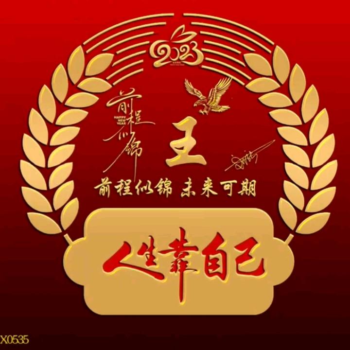 星酷娱乐