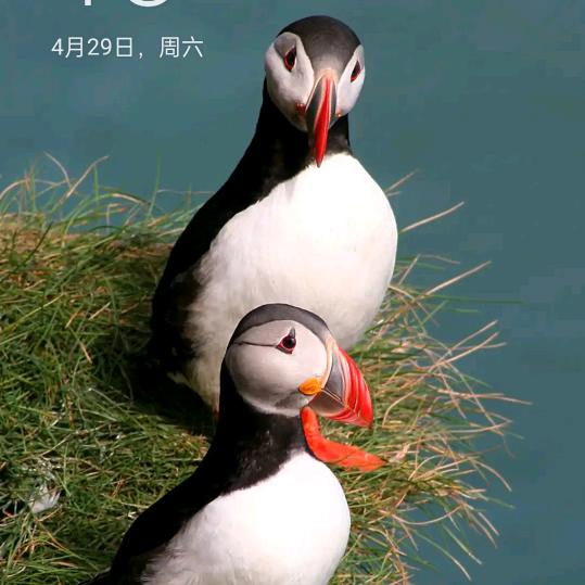 用户5588301000046