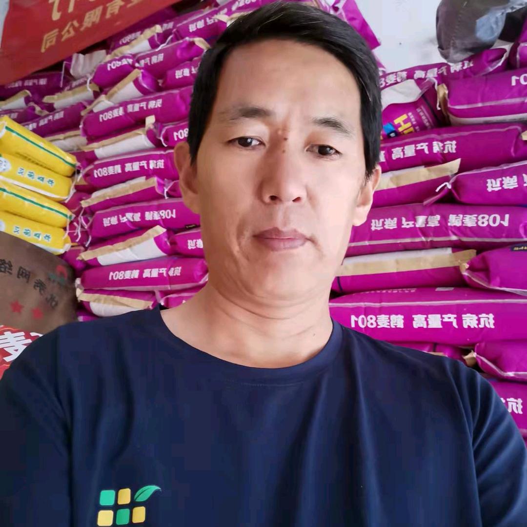 河南民权四海种业