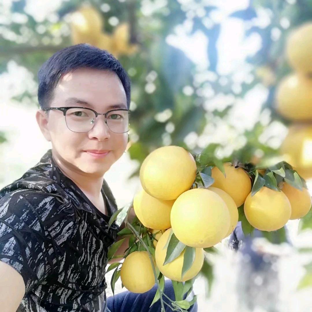 【鲜果秒拍】蛋语橙香