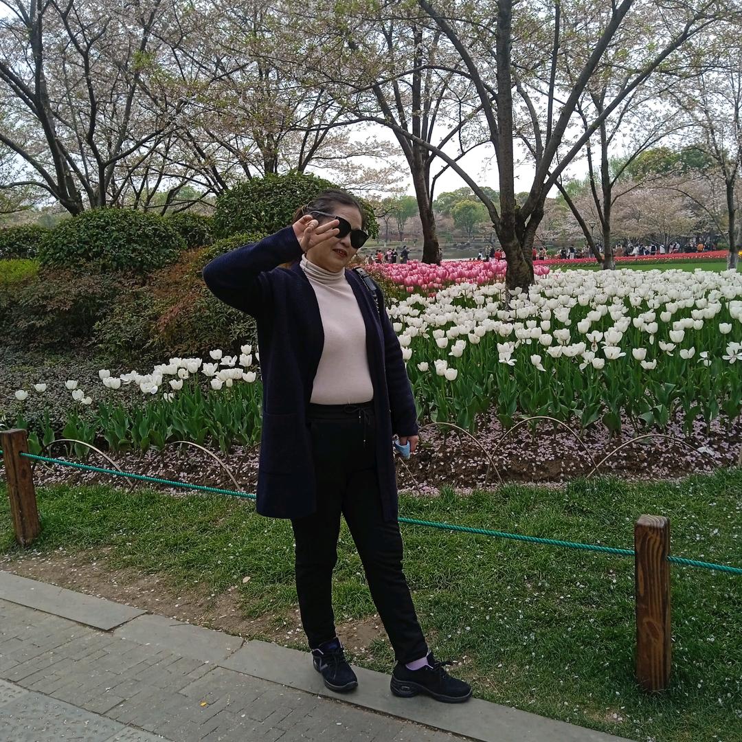 开心刘大姐，快乐单身一支梅