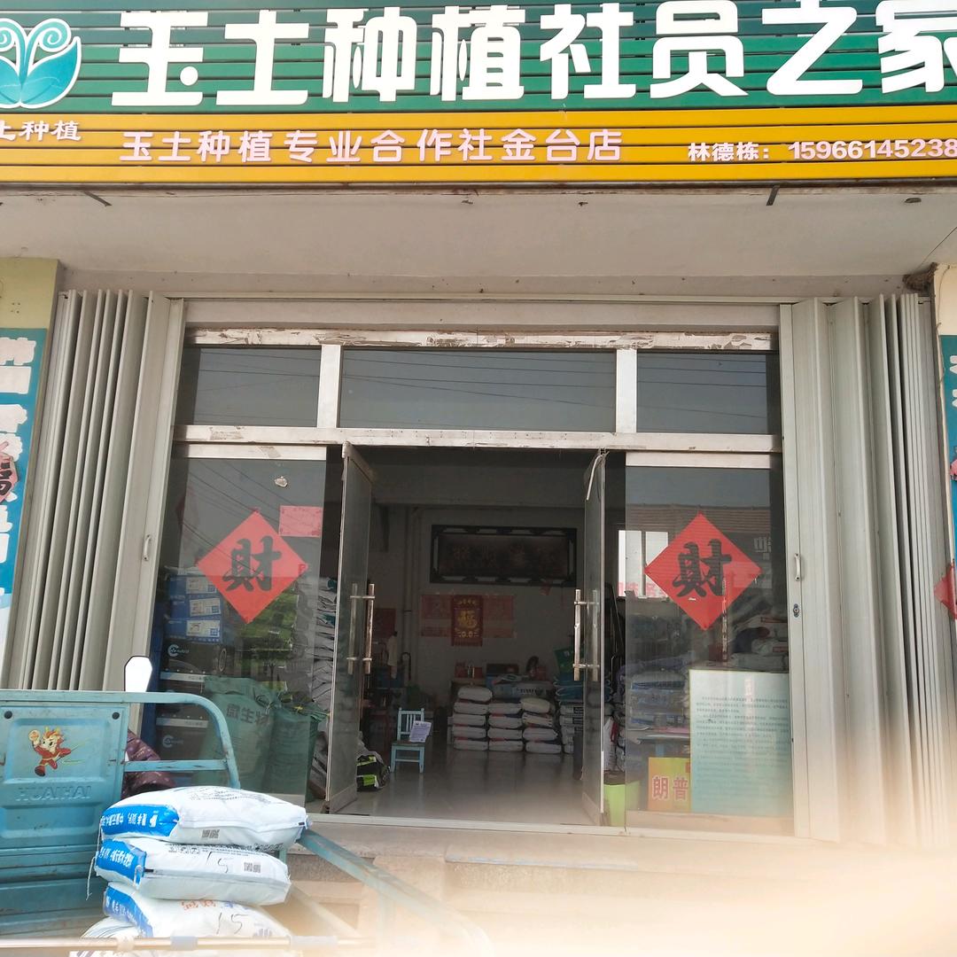 温柔的心463