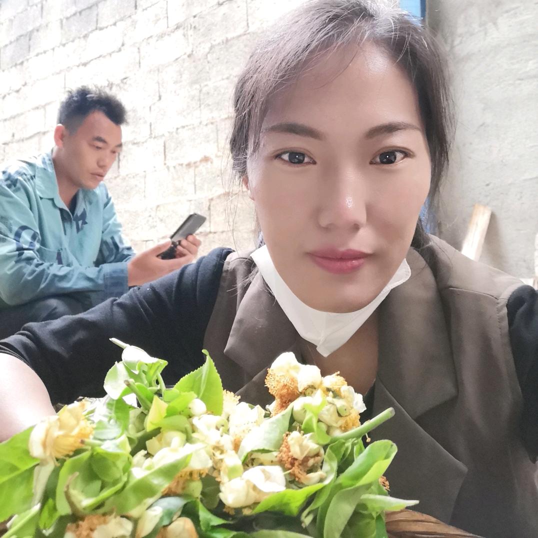 忙肺老寨正芹茶叶