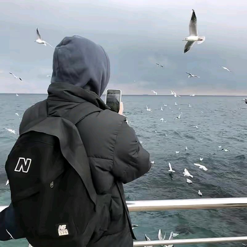 沈知意