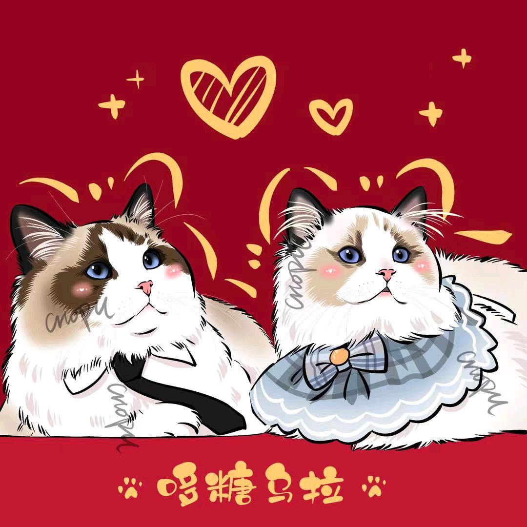 吳守蒼