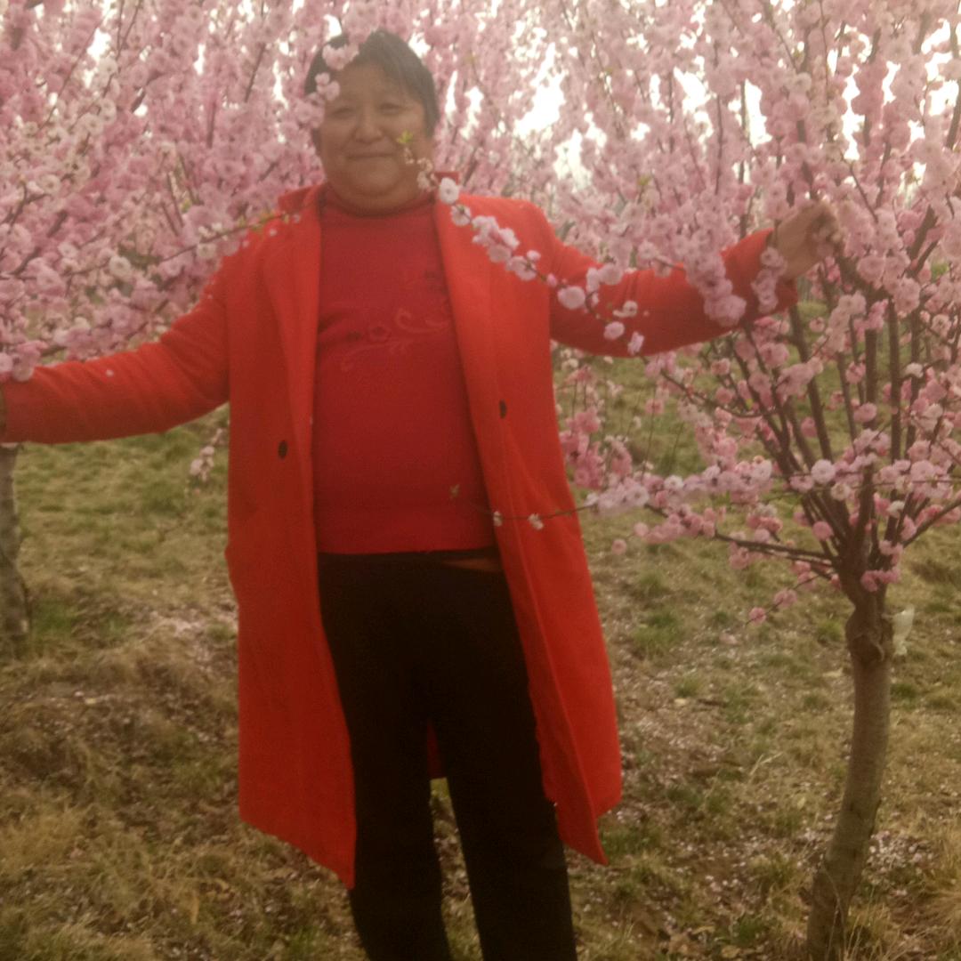张美琪琪