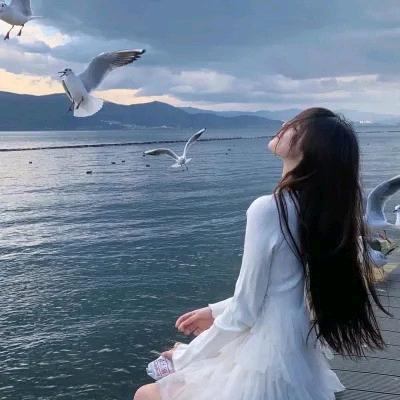 新民优选