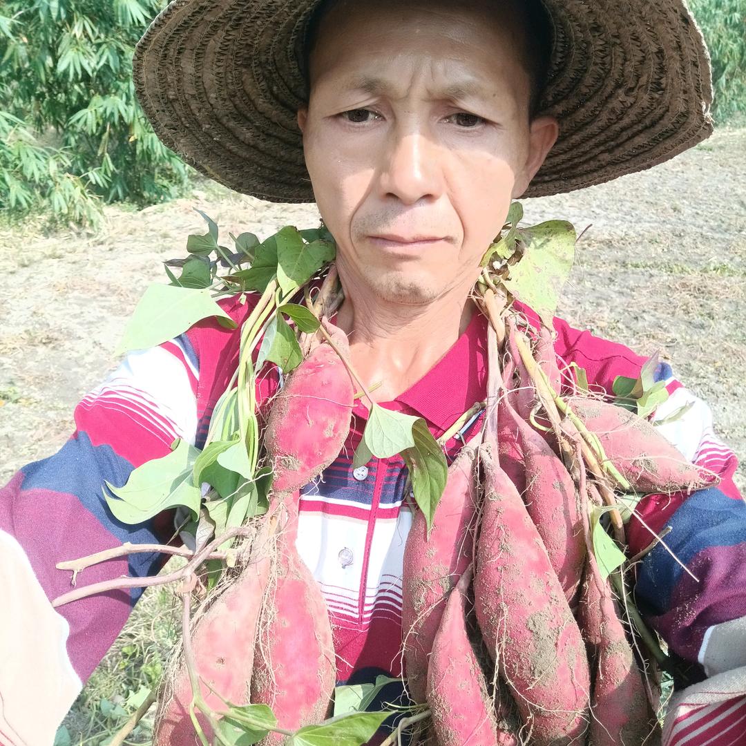 大坪老，英德市大洞镇大田村