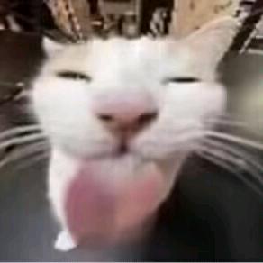 唔西迪西