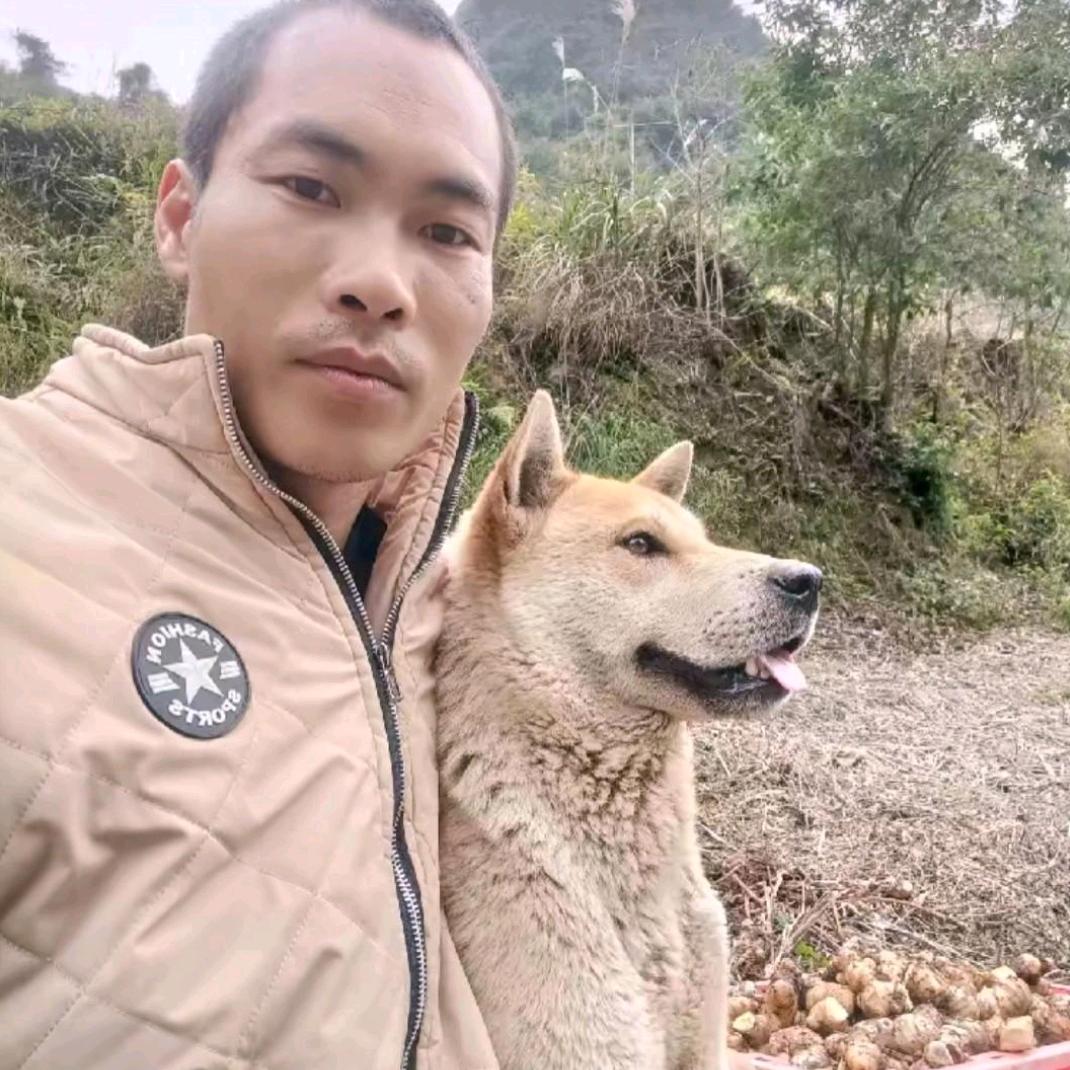 视野三哥