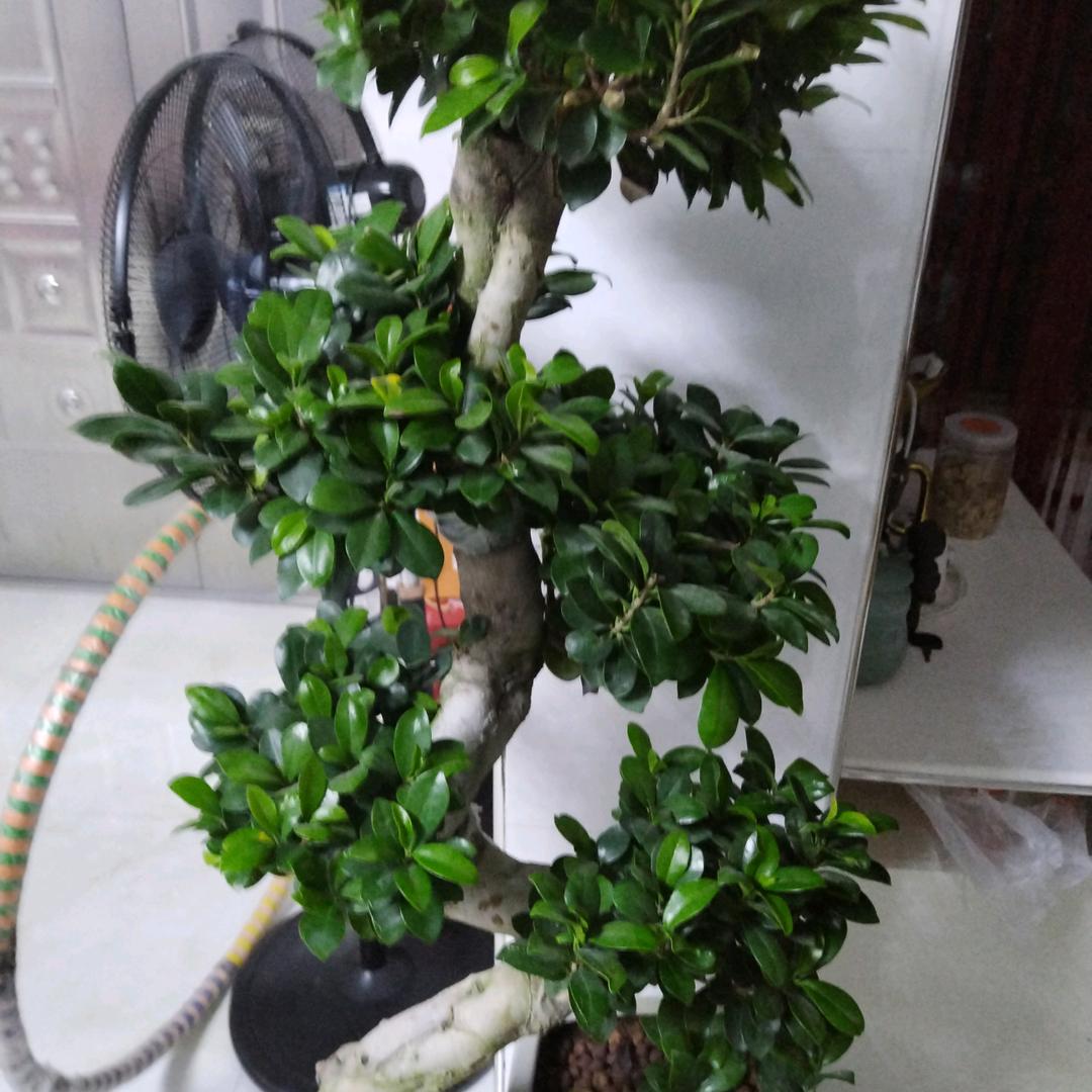 永鑫劳务公司