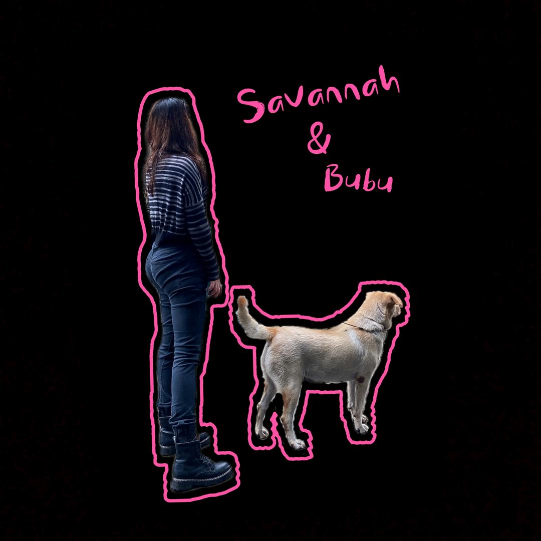 Savannah的日常