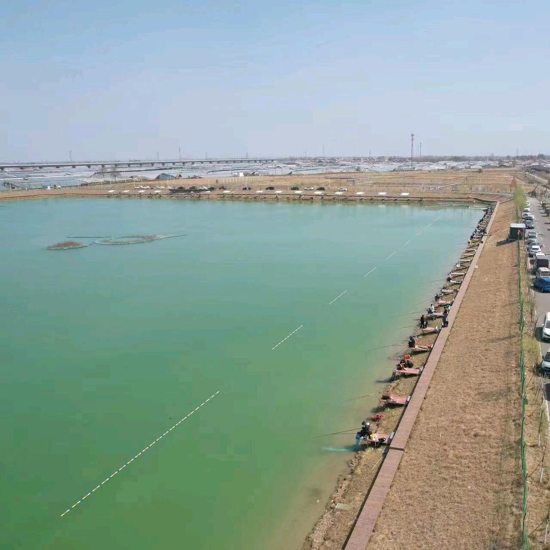 稻香田园大物钓场官方号