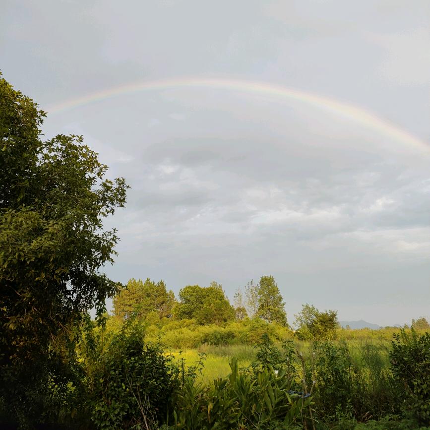 “失之东隅，收之桑榆”