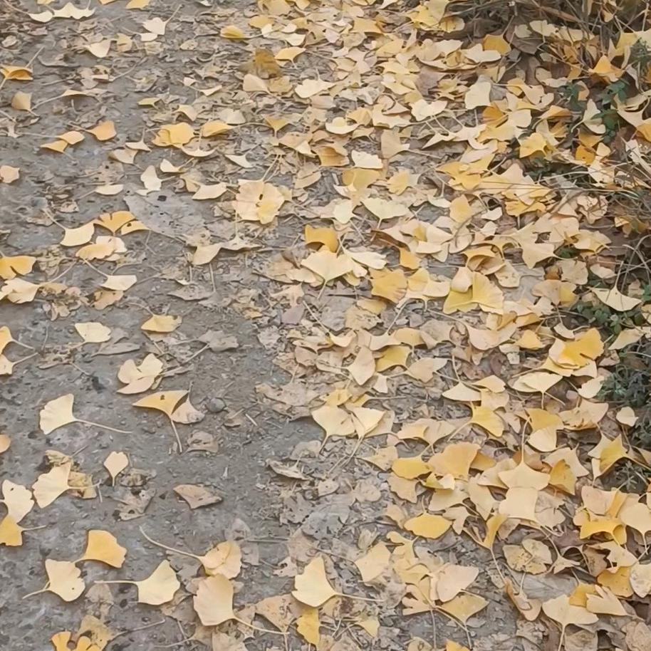 春生