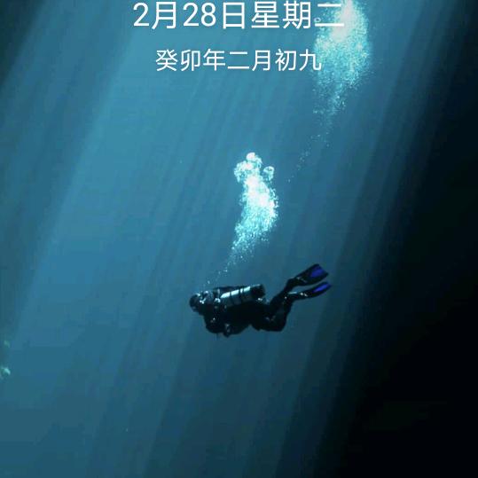 沈娥