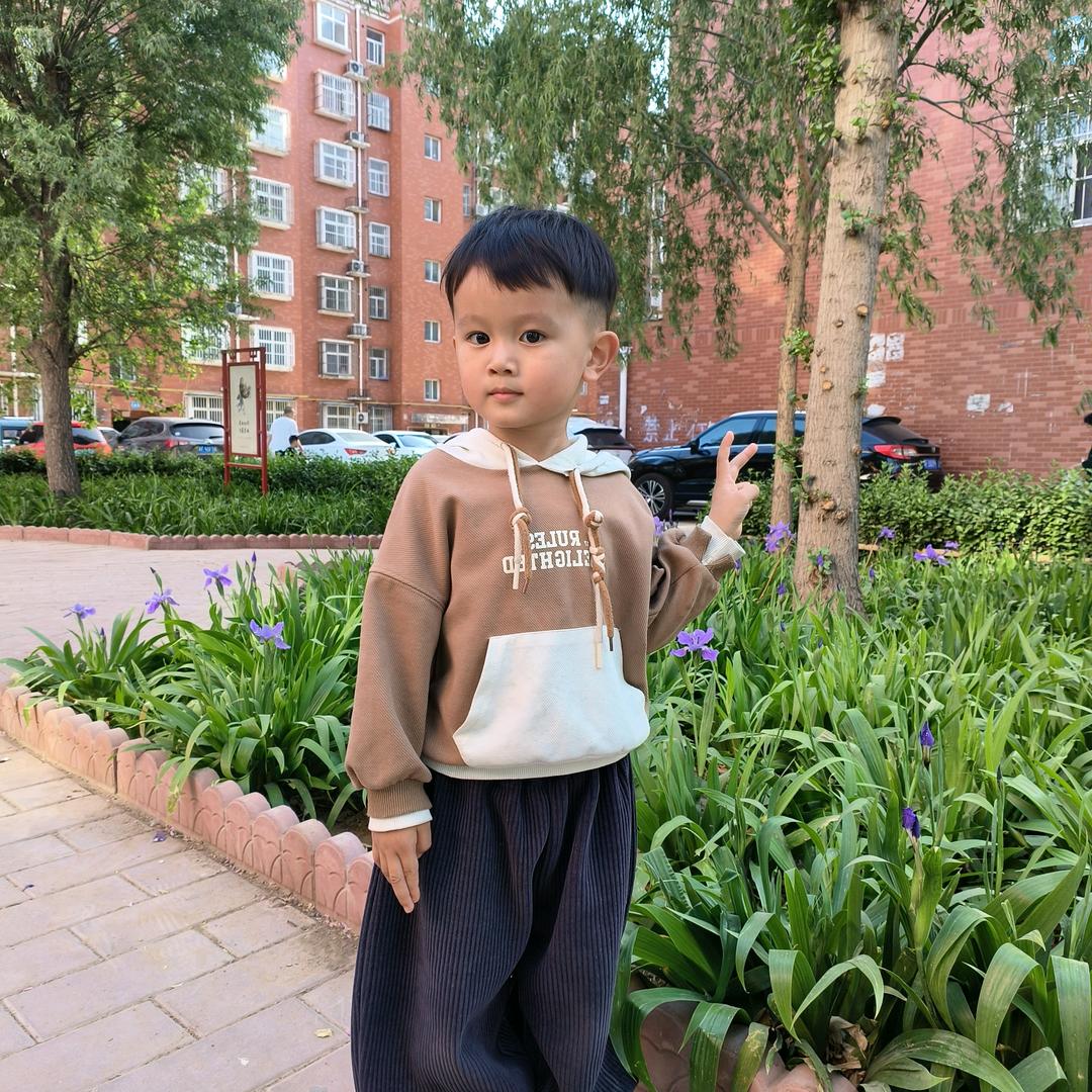 小家碧玉