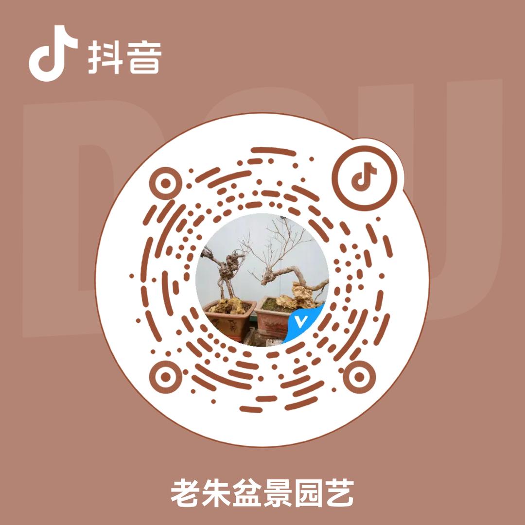 老朱盆景园艺