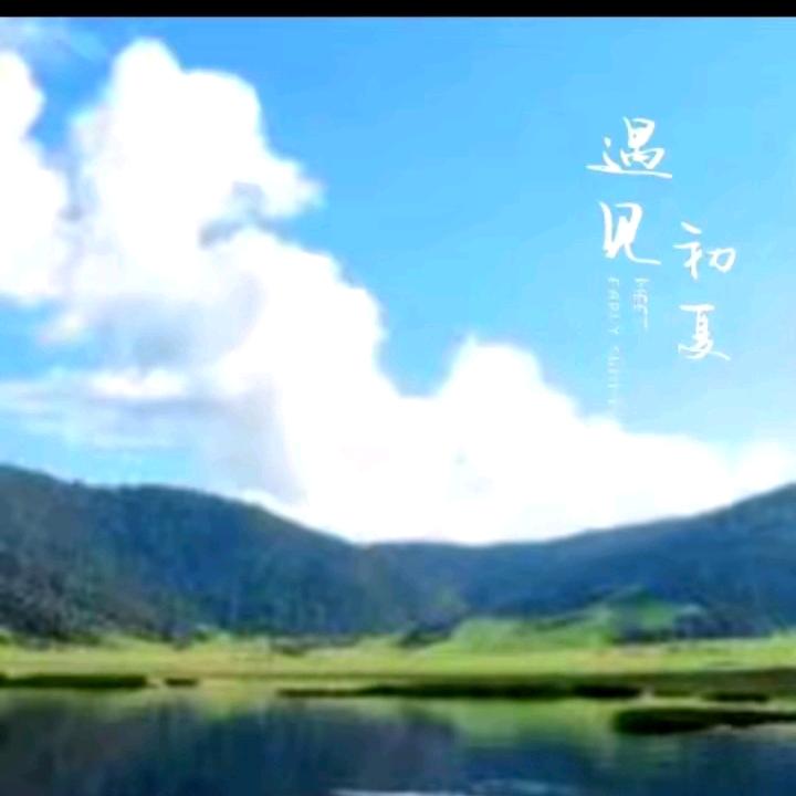 张哥