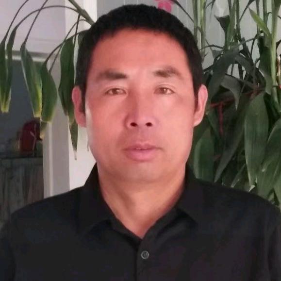 新疆胡杨