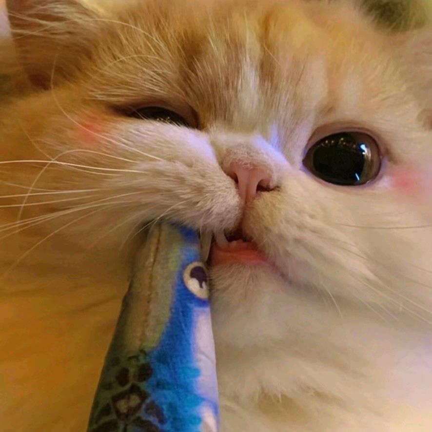 我给你的de错觉