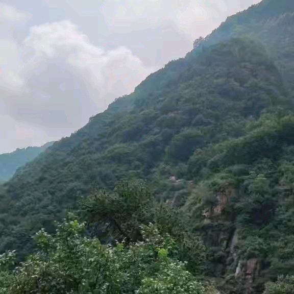 无聊