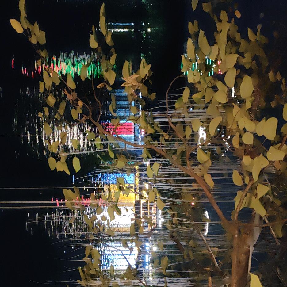 梓湫头像